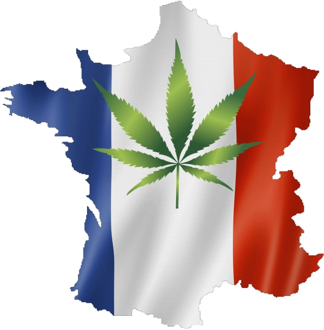 cannabisvente.com