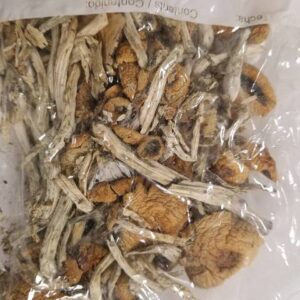 Champignon Magique À Vendre En France